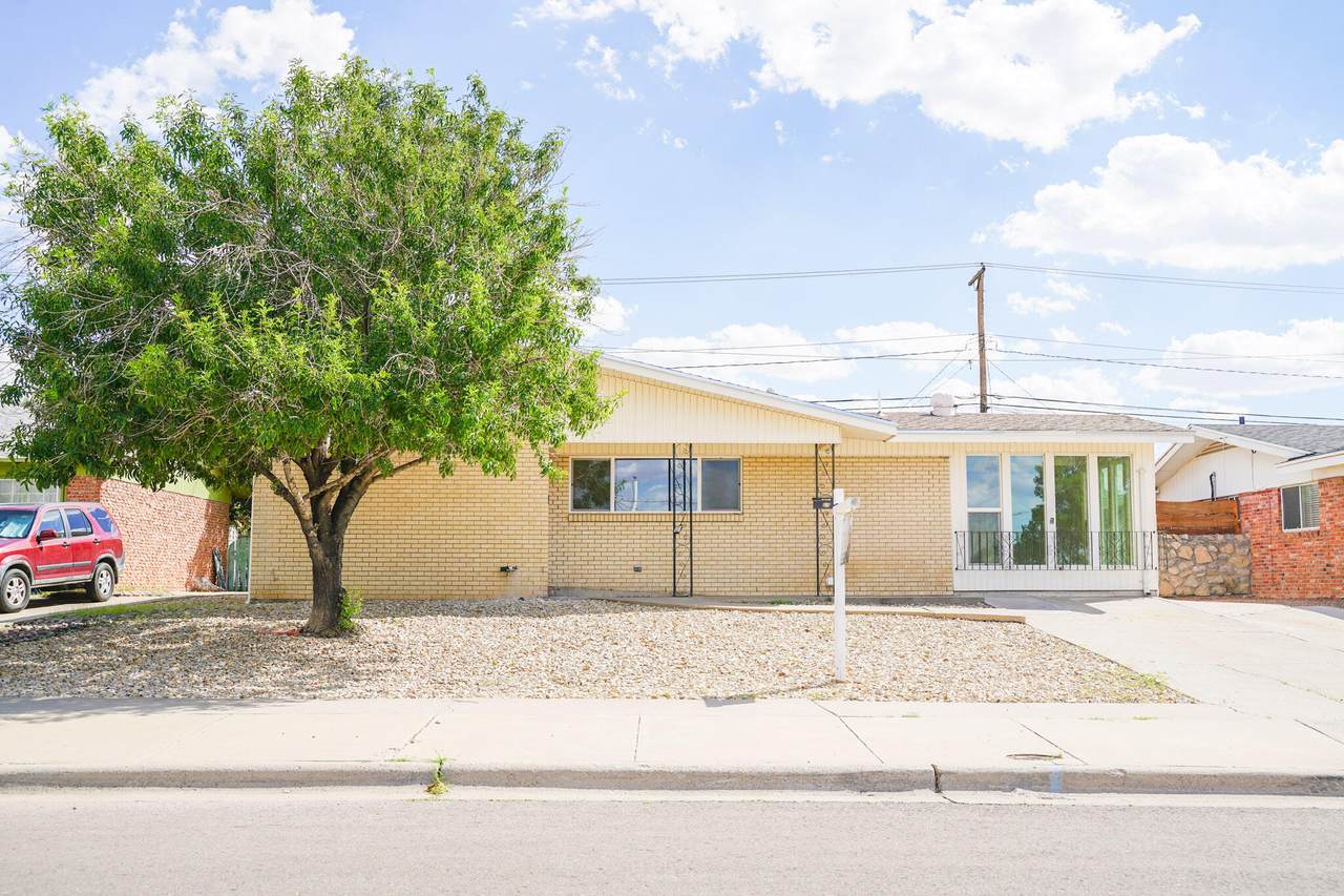 10128 Cork Drive - Photo 1