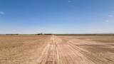 4.37 Acres San Elizario Road - Photo 8
