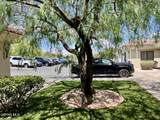 1400 El Paso Street - Photo 81