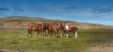 TBD Sunset Ranches 20.02 Acres - Photo 3