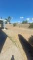 3808 Tierra Allen Place - Photo 20