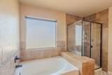 3240 Peruvian Paso Drive - Photo 26