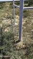 PN 76041 2 Lot 2 Sunset Ranches Unit 617 - Photo 20