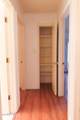 3493 Yellow Rose Street - Photo 16