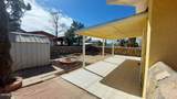 12124 Fred Carter Drive - Photo 40