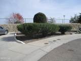 14313 Gil Reyes Drive - Photo 3