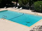 5852 Mira Serena Drive - Photo 55