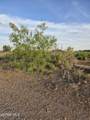 5174 Desert Willow Drive - Photo 3