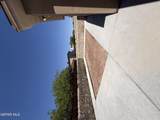 3873 Loma Dante - Photo 25