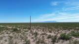 202 Acres Sug Road - Photo 2
