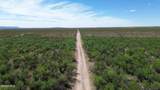 202 Acres Sug Road - Photo 23