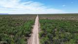 202 Acres Sug Road - Photo 3