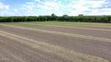 3025/3035 O'hara Road - Photo 4
