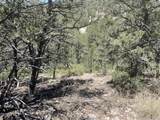 60 Canyon Road - Photo 2