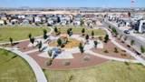 3921 Desert Dunes Drive - Photo 46