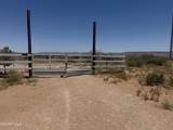 PN329432 Horizon Boulevard - Photo 7