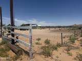 PN329432 Horizon Boulevard - Photo 8