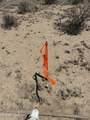 PN-68935 Abilene Road - Photo 13