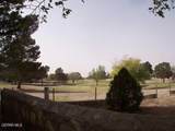 1633 Charles Owens Drive - Photo 25