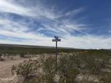 PN-65016 Lone Star Way - Photo 23