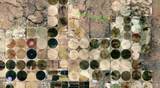 68 TSP 1 Sec 7 T&P Lot 32 (20.3 Acres) - Photo 3