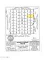 68 TSP 1 Sec 7 T&P Lot 32 (20.3 Acres) - Photo 4