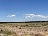 23.64 Ac Island Guadalupe Road - Photo 3