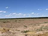 23.64 Ac Island Guadalupe Road - Photo 4