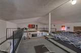 14940 Whitetail Deer Drive - Photo 48