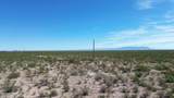 202 Acres Sug Road - Photo 14