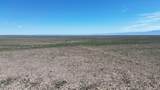 202 Acres Sug Road - Photo 15