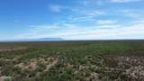 202 Acres Sug Road - Photo 17