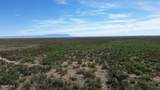 202 Acres Sug Road - Photo 18