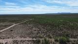 202 Acres Sug Road - Photo 19