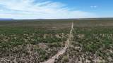202 Acres Sug Road - Photo 20