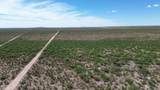 202 Acres Sug Road - Photo 22
