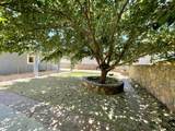 3033 Tierra Humeda Drive - Photo 10