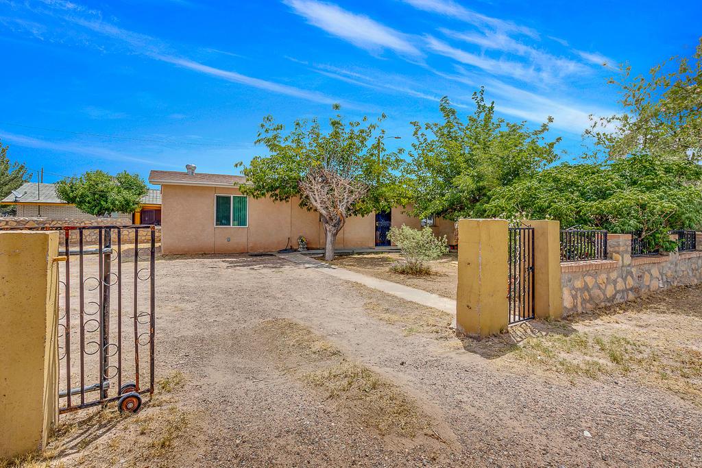 10319 Pritam Drive - Photo 1
