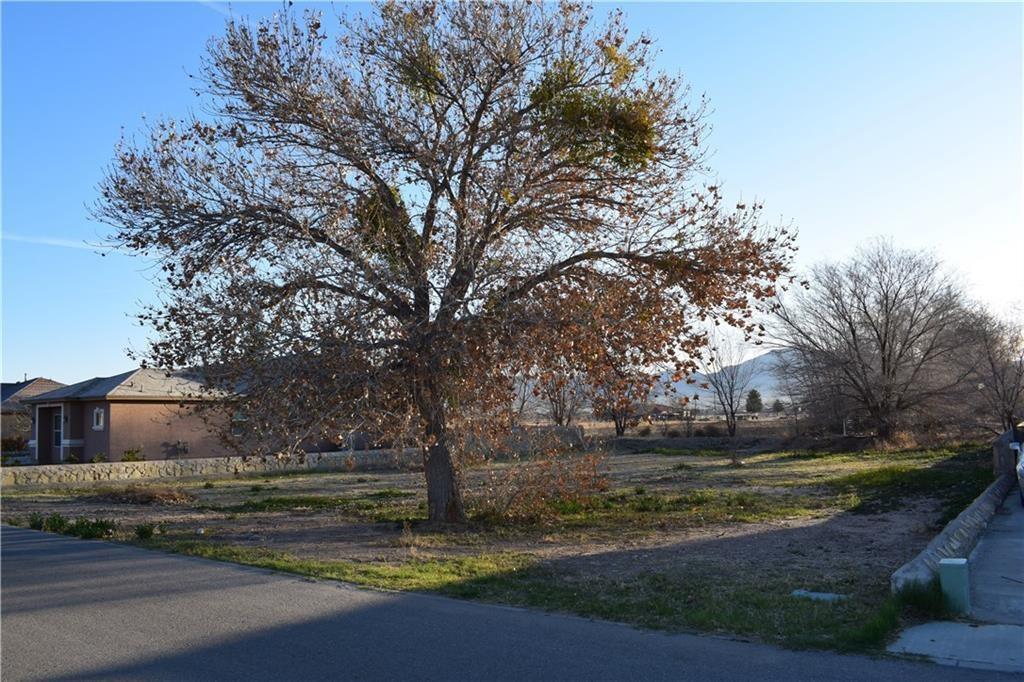 6032 Dona Beatriz Lane - Photo 1