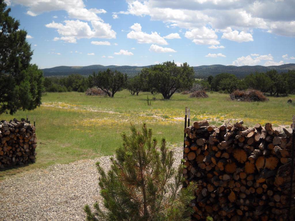 4288 Owen Prather Highway - Photo 1