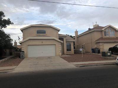 3016 Tierra Mina Drive - Photo 1