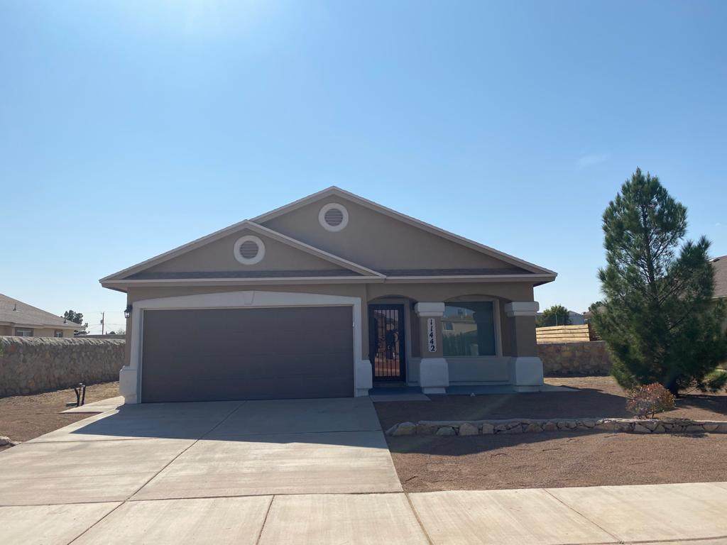 11442 Flor Veronica Drive - Photo 1