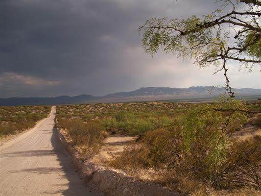 Lot 6 71 Sunset Ranches #302 - Photo 1