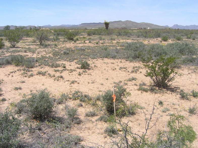 0 Bonita Vista - Photo 1