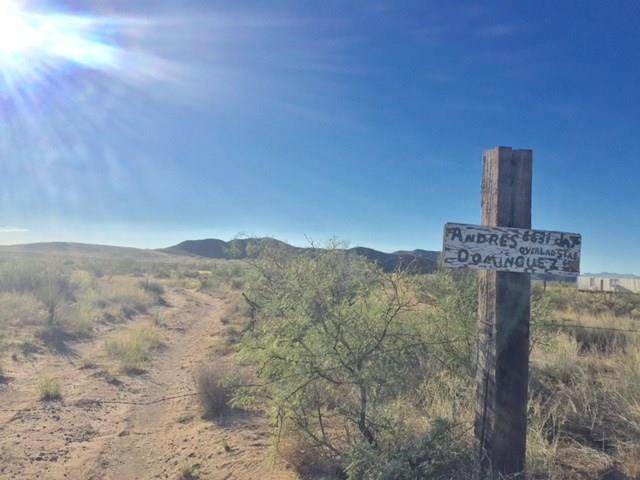 6631 Overland Stage Road - Photo 1