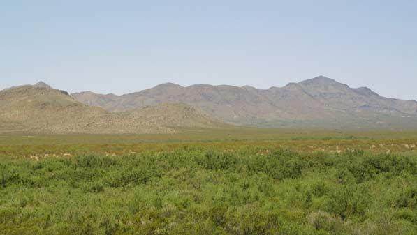 23 Eastern Hills #4 - Photo 1