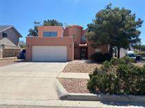 11509 Town Lake Lane - Photo 1