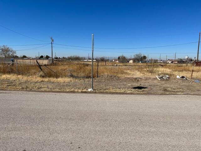 10208 Letona Street - Photo 1
