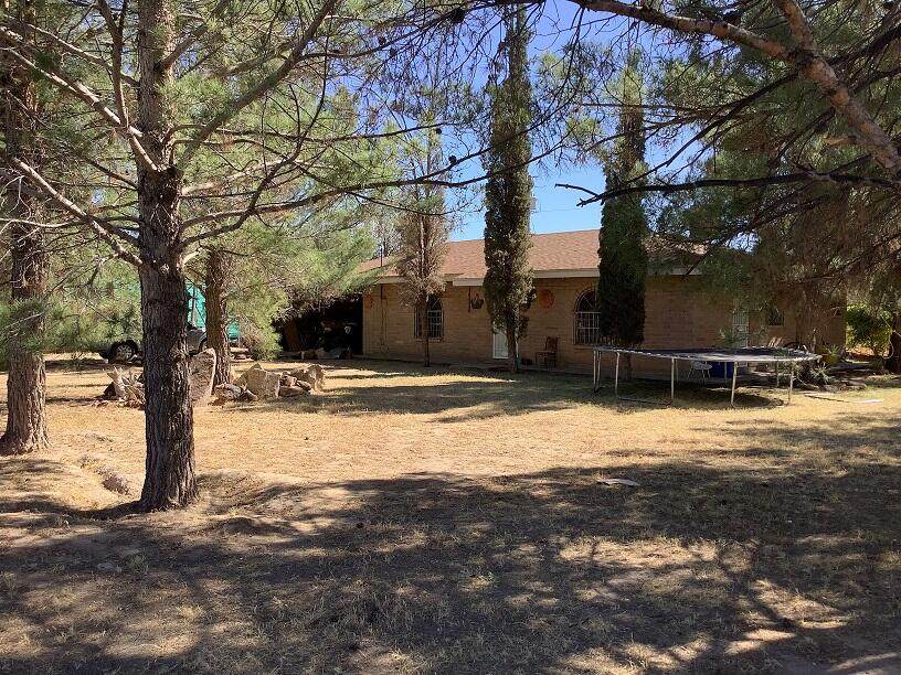 650 Borrego Road - Photo 1
