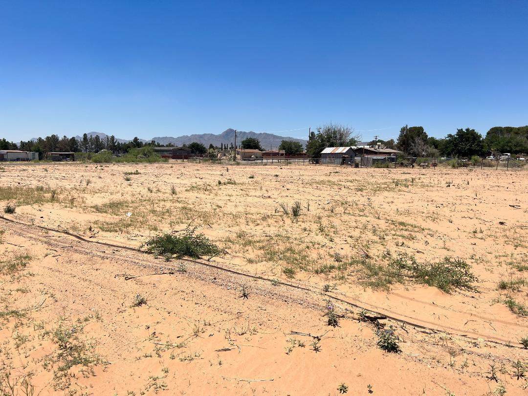 306 Paloma Blanca Drive - Photo 1